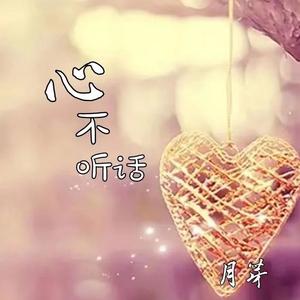 错把晚风当作你