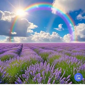 雨停之前_836e31a7_1777437268280.mp3