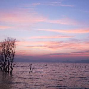 想见你想见你想见你