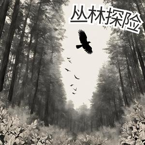 丛林探险