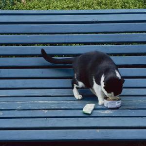 我们不是说好了吗（翻自 彭于晏/白百何）