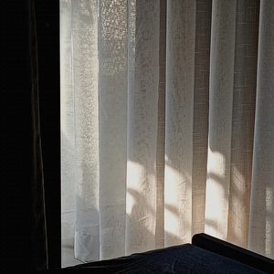 南泥湾 (唯美中阮轻音乐)