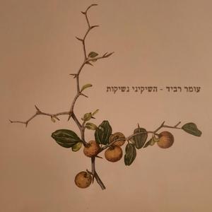 השיקיני נשיקות