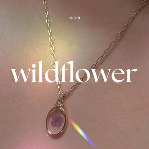 wildflower