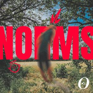 NORMS