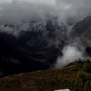 我希望我无论几岁都能顺着自己的心意而活