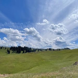 董小姐1725457452351_20240904_214428