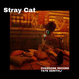 Stray Cat