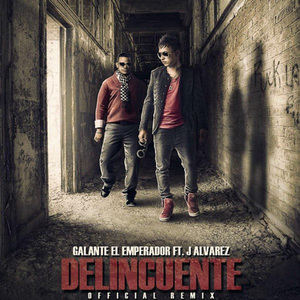 Delincuente (Official Remix)