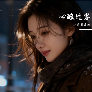 心酸过客