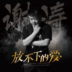 放不下的爱 (DJ版伴奏)