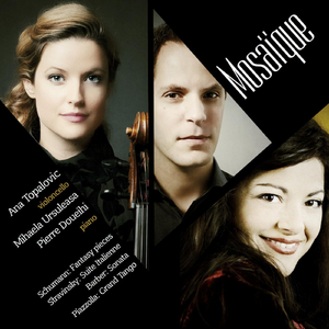 Sonata for Cello and Piano in C Minor, Op. 6: I. Allegro ma non troppo