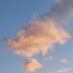 《云》词曲唱赵鑫