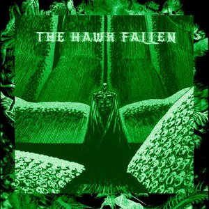 THE HAVR FALLEN（sped up）