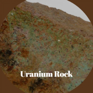 Annie Doesn't Live Here Anymore