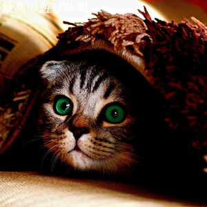 Phenomenal Music for Lush Peace