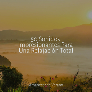 Desentrañando Recuerdos Iluminados por el Sol