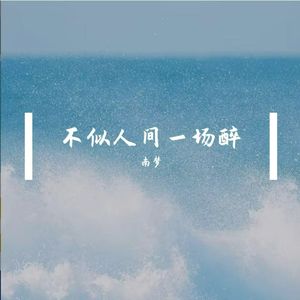 不似人间一场醉