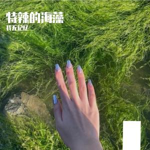 特辣的海藻 伴奏