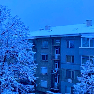 заморожен