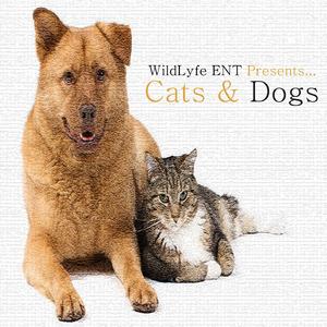 Followers (Instrumental)