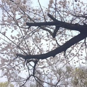 春天过去太久(prod.by Morrow X IOF)