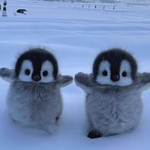 death lotto ( slowed + reverb )