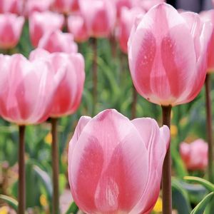 晒衣绳上的天空