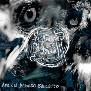 Ave del Paraiso Siniestro