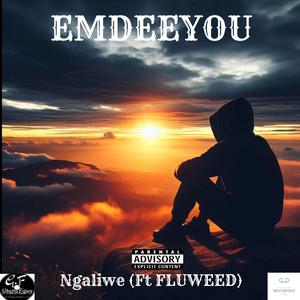 Ngaliwe (Radio Edit)