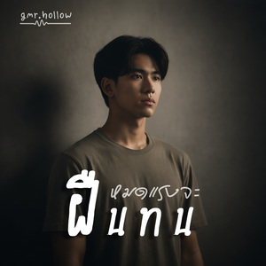 หมดแรงจะฝืนทน