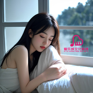 想你的雨夜（雨声助眠）