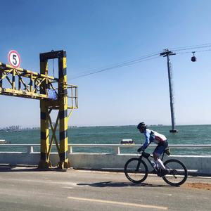 请 你 来 滇 池 看 海 鸥