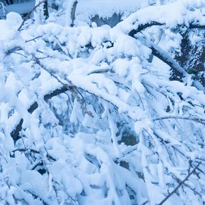 其实我真没那么爱你（Prod.DIVINE MUSIC)