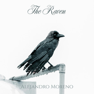 The Raven