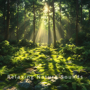 Complete Sleep Solution