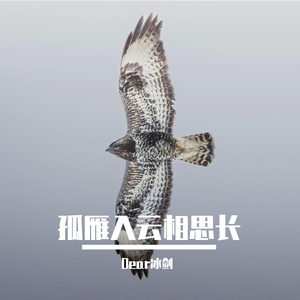 孤雁入云相思长