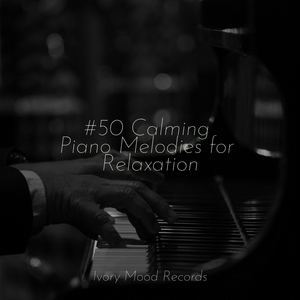 Echoes of Mindful Wonder