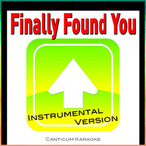 Finally Found You (Instrumental Version)
