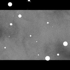 Falling Into the Stars Above