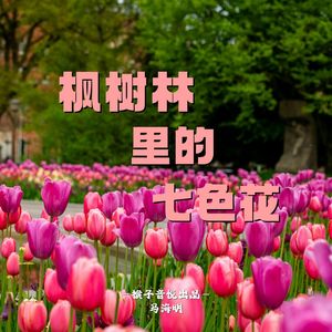 枫树林里的七色花