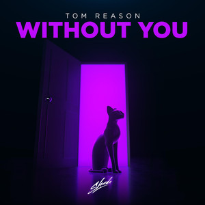 Without You (Original Mix)