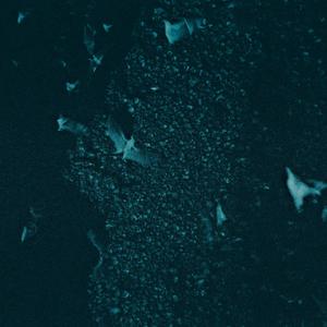 Guano (feat. touchdownutah*)