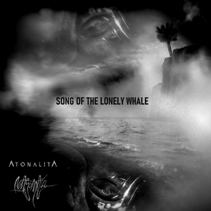Song of the Lonely Whale