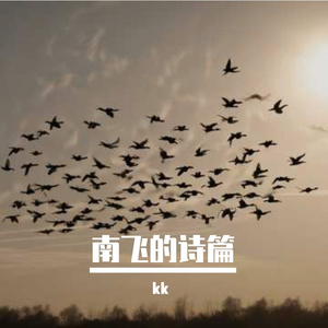 南飞的诗篇