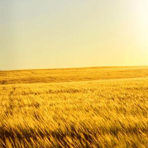 去时邀约早回轮