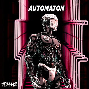 Automaton