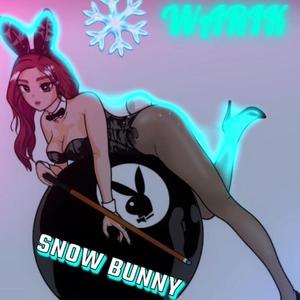 SNOW BUNNY