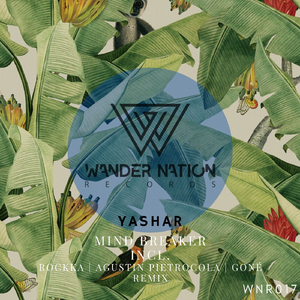 Mind Breaker (Agustin Pietrocola Remix)