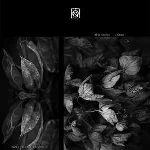 Factum (Original Mix)